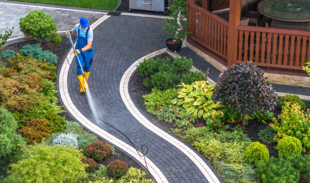 Best Affordable Pressure Washing  in Dale, IN