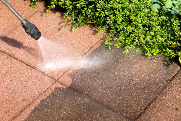 Best Residential Pressure Washing Services  in Dale, IN
